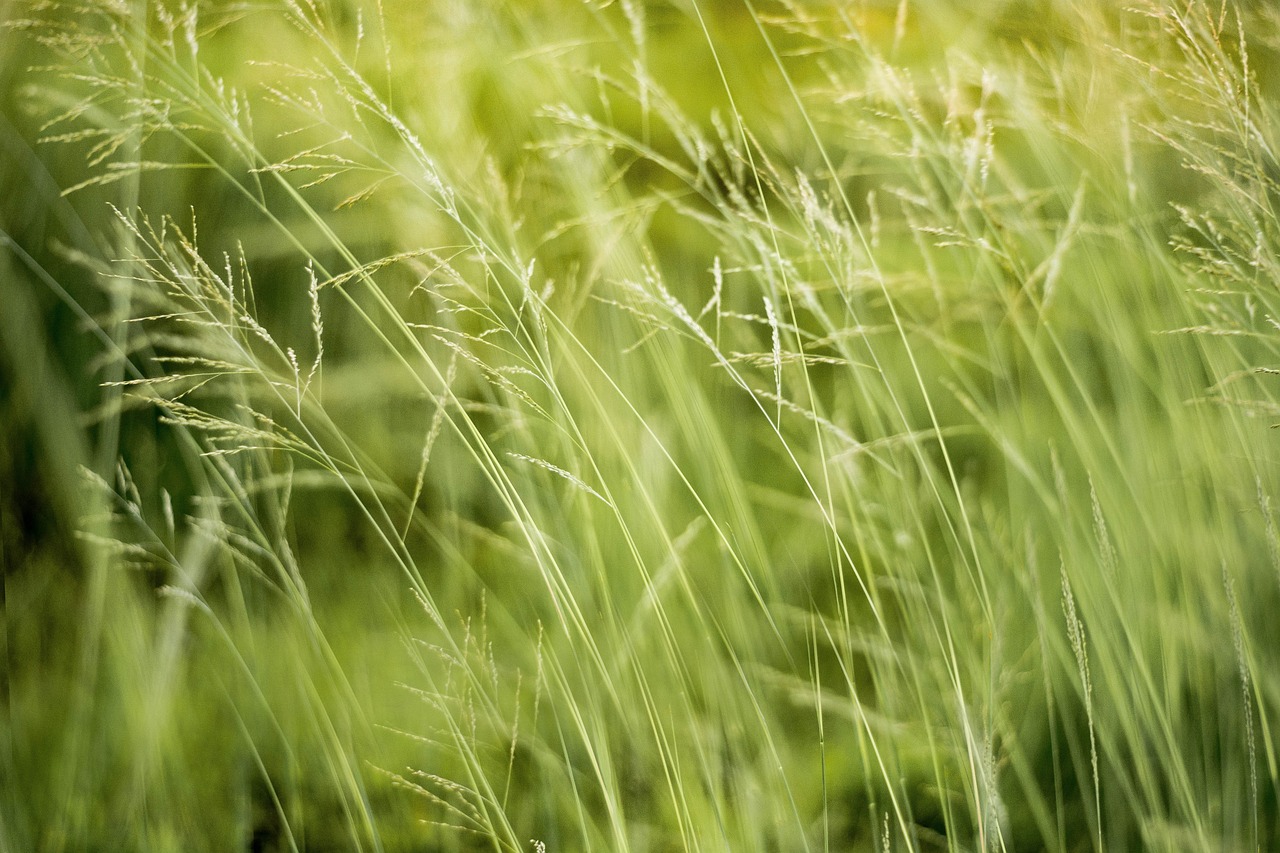 ECO VADIS