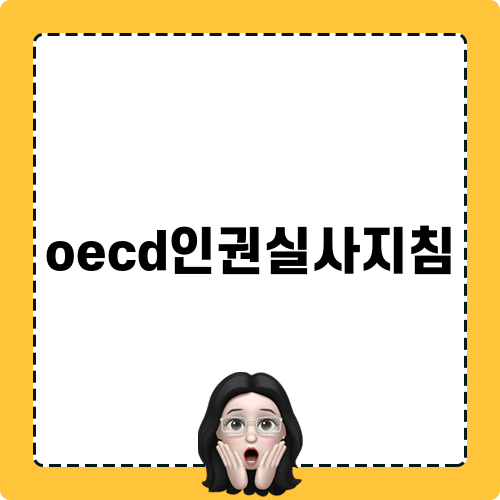 oecd인권실사지침 관련 정보