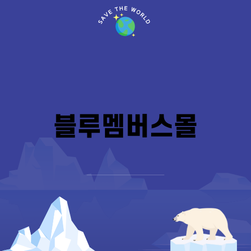 블루멤버스몰 소개와 활용 가이드