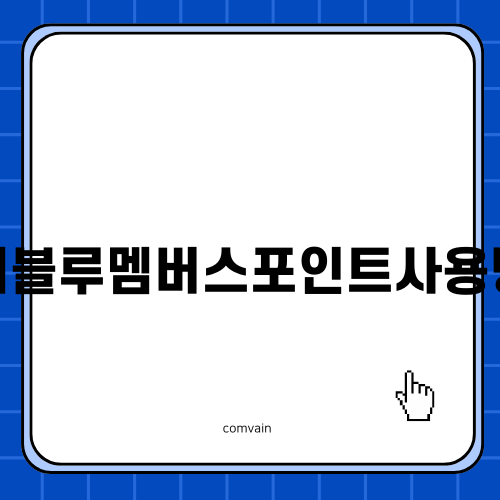 현대 블루멤버스 포인트 활용 가이드