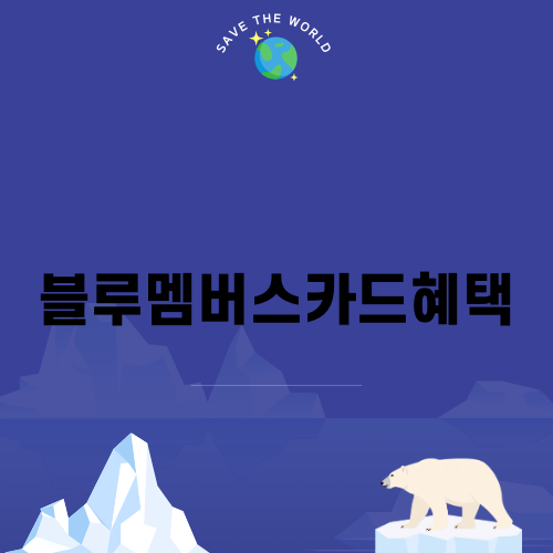 현대자동차 블루멤버스카드혜택 안내